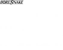 Bore Snake