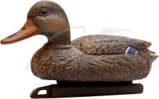 Подсадная утка Birdland