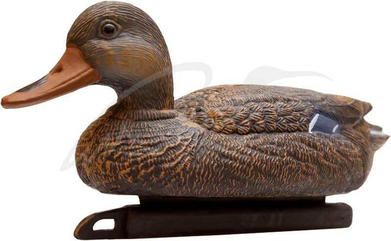 Подсадная утка Birdland